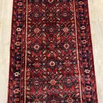 5M Hamedan Persian Runner (Hosseinabad)