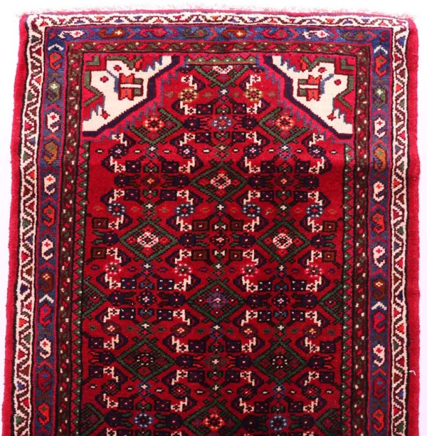 6.8M Hamedan Persian Runner (Hosseinabad)