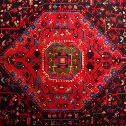 3.2x1.6M Tuserkan Tribal Rug