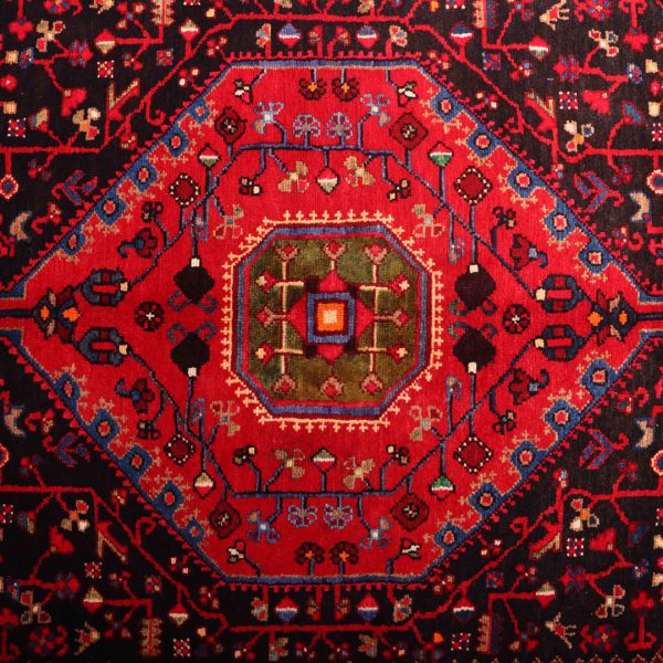 3.2×1.6M Tuserkan Tribal Rug