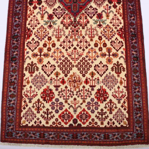 3.1x1.3M Persian Joshaghan Rug