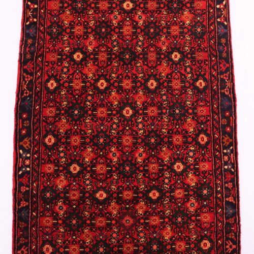 4.8 M Hamedan Persian Runner (Hosseinabad)