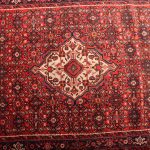 3×1.5M Hamedan Persian Rug