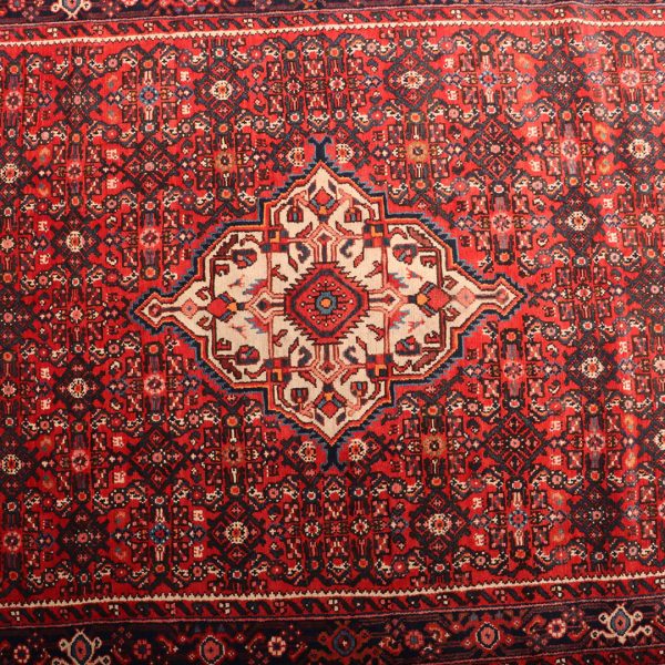 3×1.5M Hamedan Persian Rug