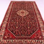 3.3×1.7M Hamedan Persian Rug