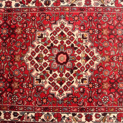 3M Hamedan Persian Runner