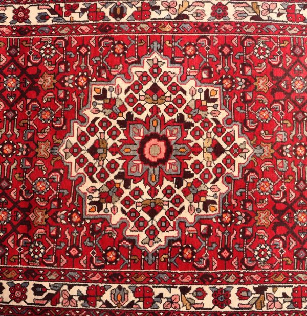 3M Hamedan Persian Runner