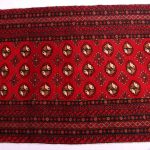 3M Persian Turkaman Runner