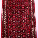 11 x 0.8 M Hamadan Persian Runner (Hosseinabad)