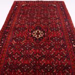 3.3×1.6M Hamadan Persian Rug