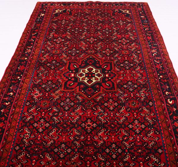 3.3×1.6M Hamadan Persian Rug