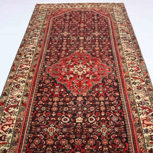 3.5x1.5M Hamadan Persian Rug