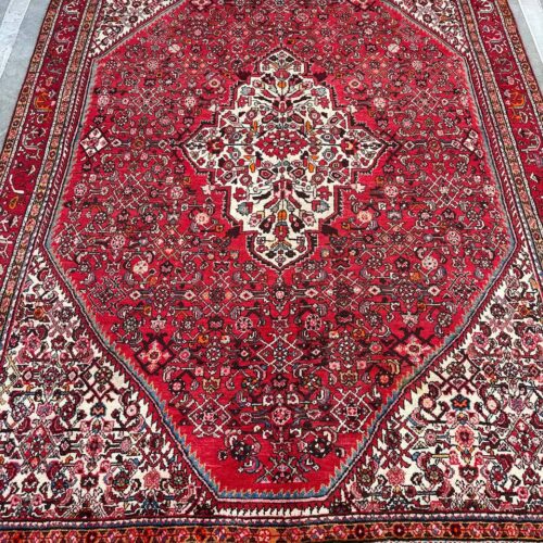 3.2x2.1M Herati Hamedan Rug
