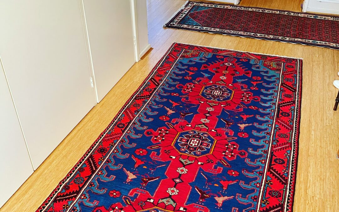 a red and blue hallway runner on a wooden floor.